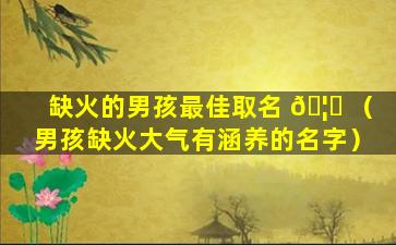 缺火的男孩最佳取名 🦊 （男孩缺火大气有涵养的名字）